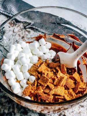 S'mores Bark - The Recipe Life