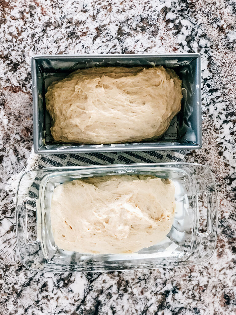 Two loaves of peasant bread rising in buttered loaf pans.