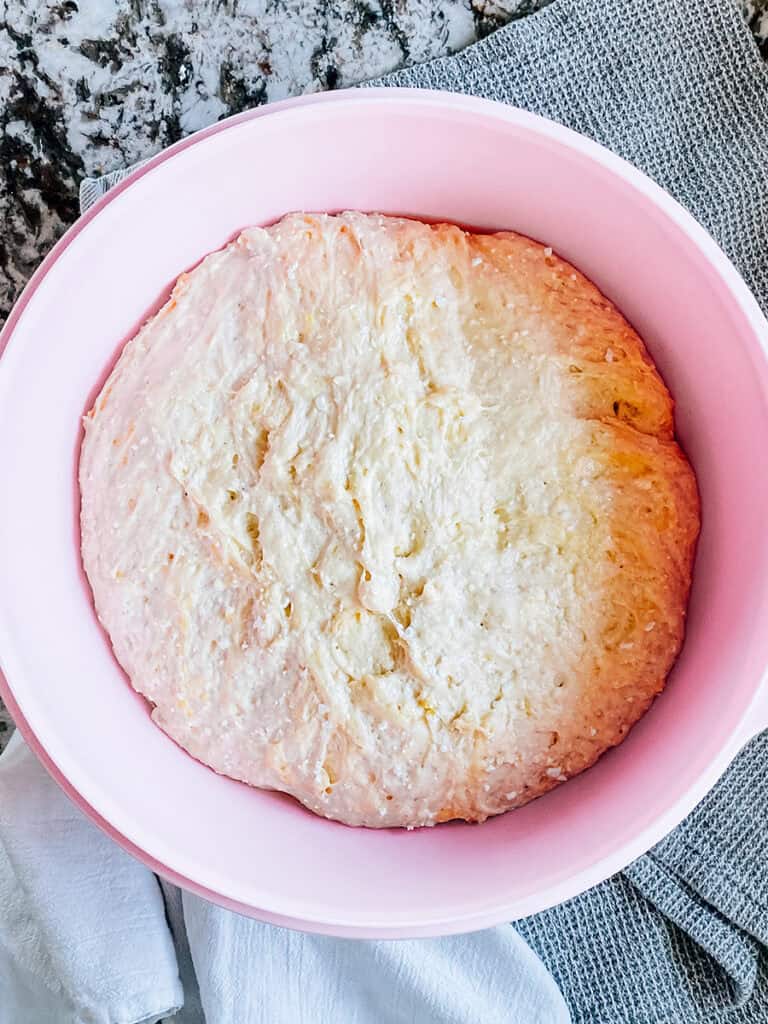 After the first rise this cottage cheese bread dough doubled in size.