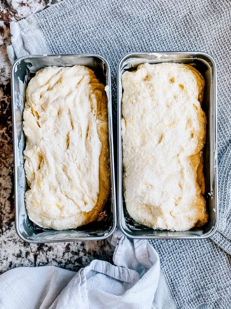 The dough punched down and put into buttered bread pans.