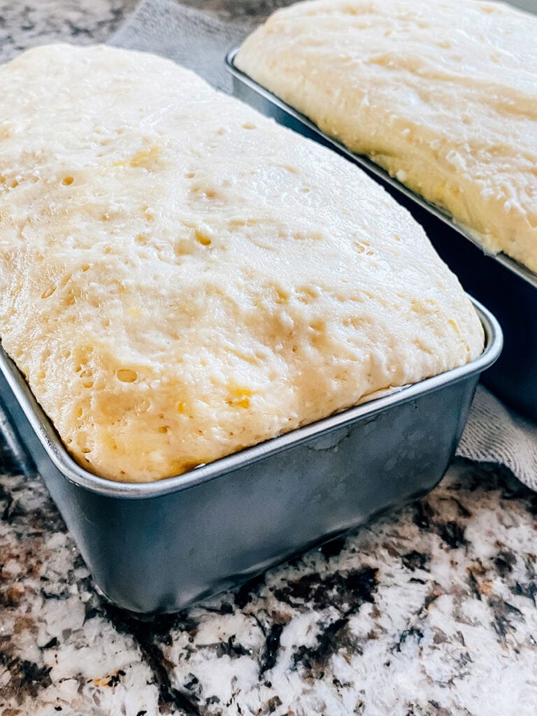 Showing the second is of cottage cheese bread dough.