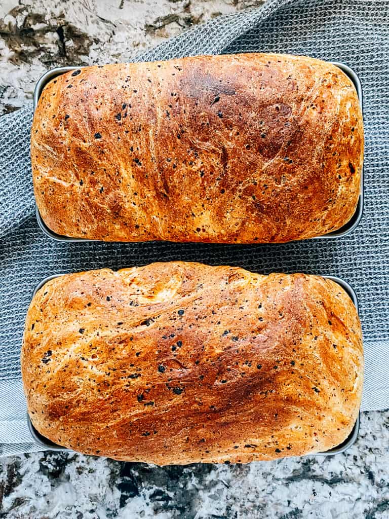 Freshly baked homemade cottage cheese bread resting for 10 minutes before being removed from the pans.