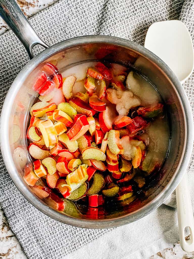 Chopped rhubarb, water, and sugar in a large saucepan.