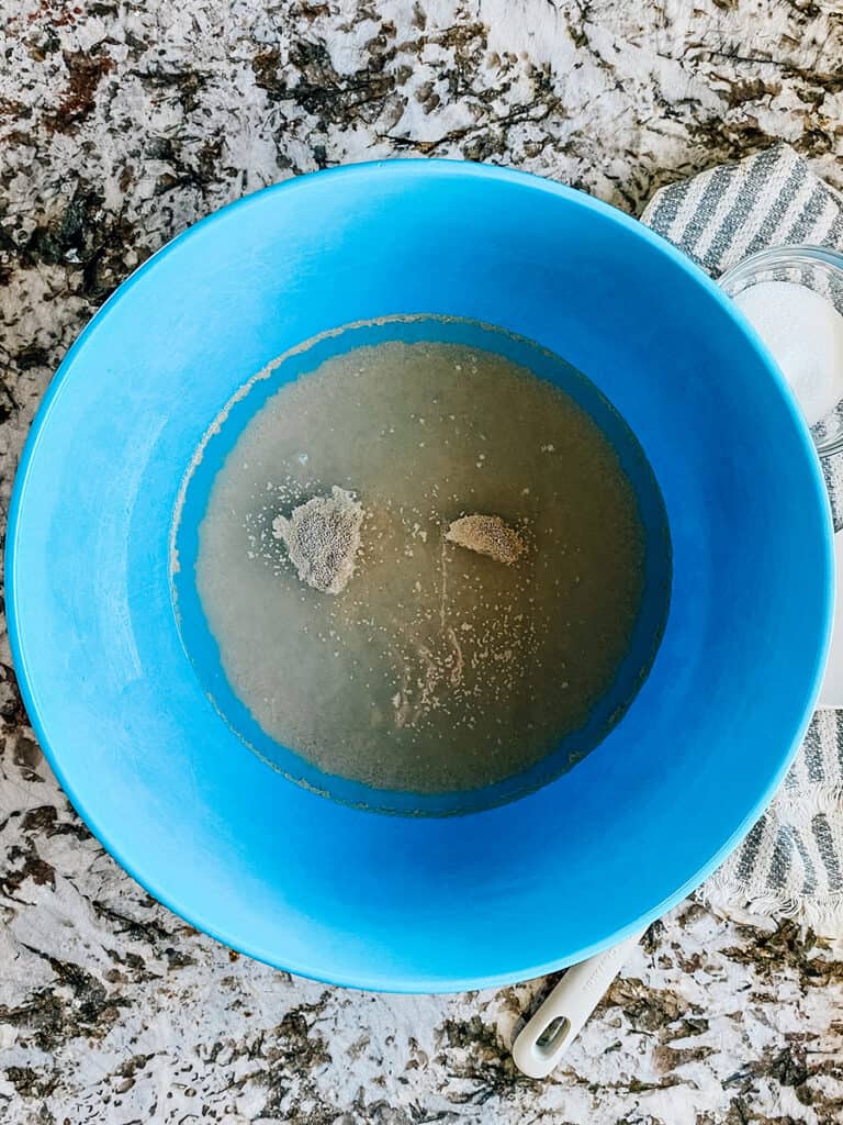 Yeast and water between 110-115°F in a large mixing bowl.